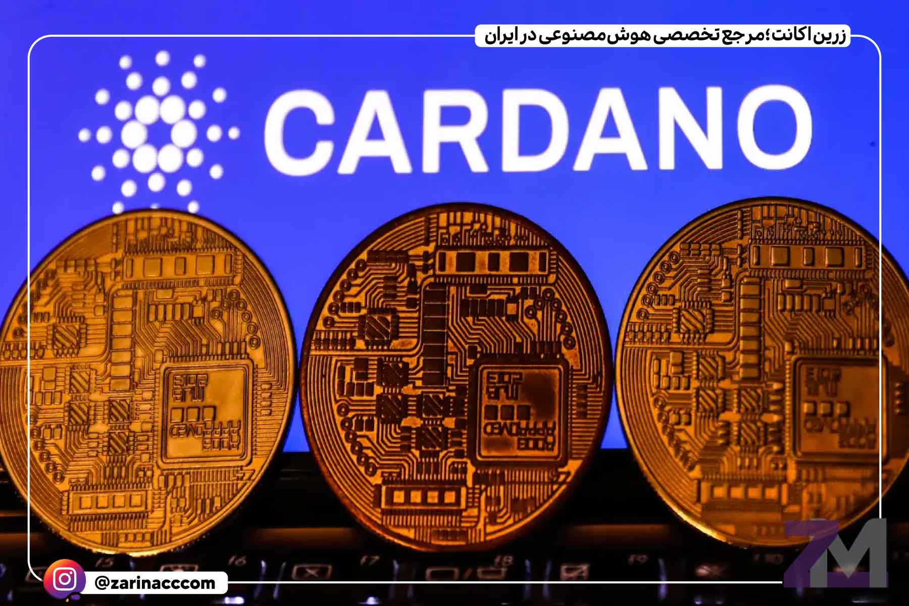 مزایای کاردانو چیست؟