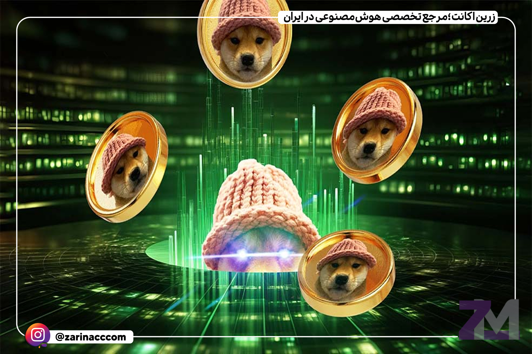 سگ کلاهدار: میم کوینی با پتانسیل بازگشت به سقف تاریخی